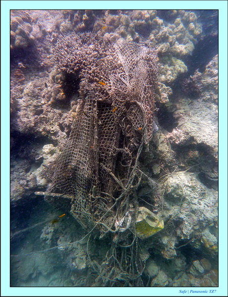 2011 - 03 - Koh Kradan 062